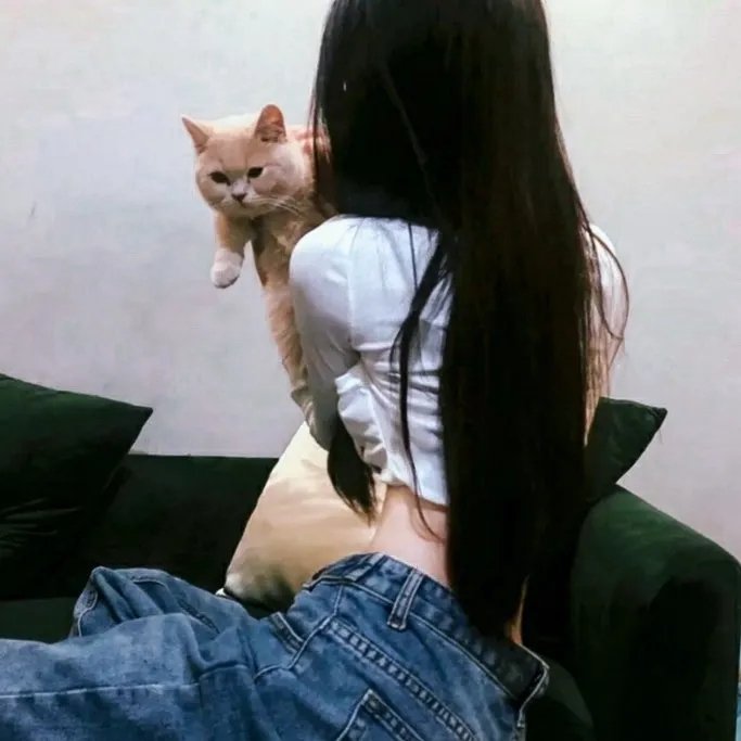 九凤家的锦鲤喵殿下